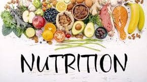 Class 10 Nutrition